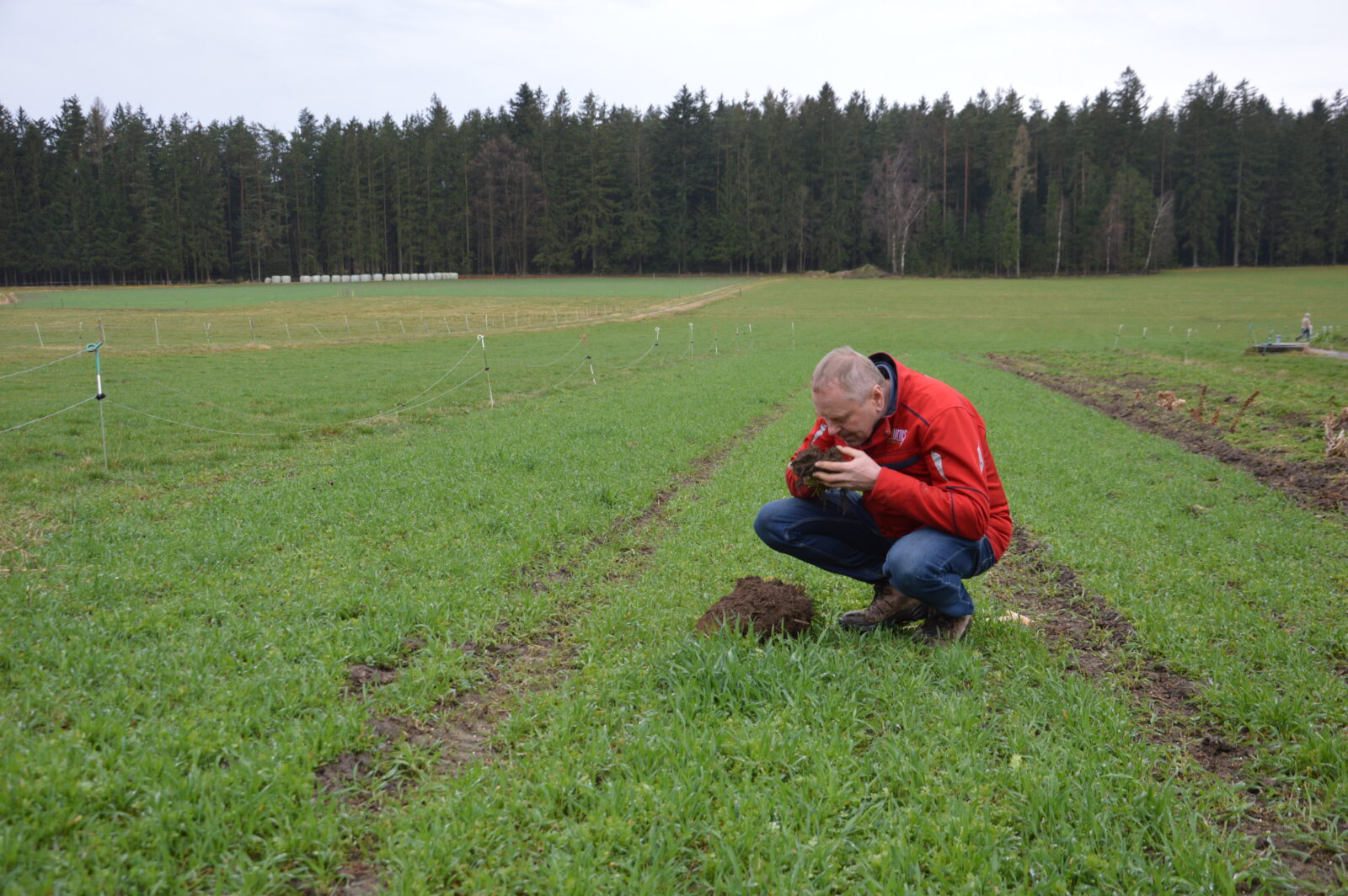 Humus aufbau Landwirtschaft